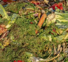 compost légumes