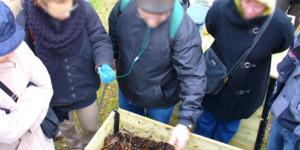 Référent de site de compostage partagé