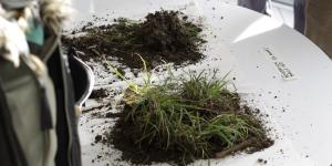 Différents types de sol