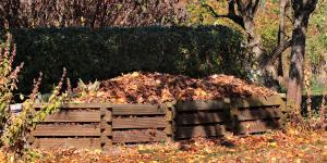 compost feuilles mortes