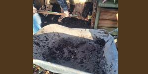 Récupération de compost dans une brouette