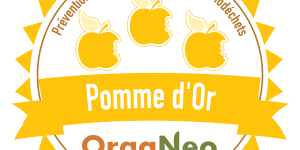 Logo OrgaNeo Pomme d'or pour représenter le niveau 3 des formations lutte contre le gaspillage alimentaire