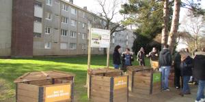 Visite de terrain d'un site de compostage partagé