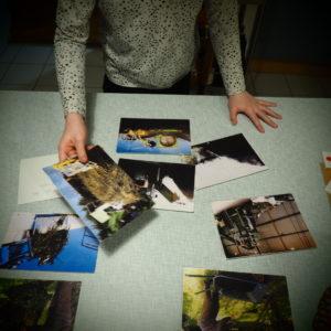 Filière déchets verts