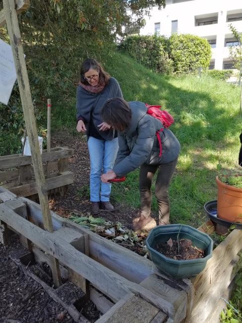 Référent de Site - Module RS11