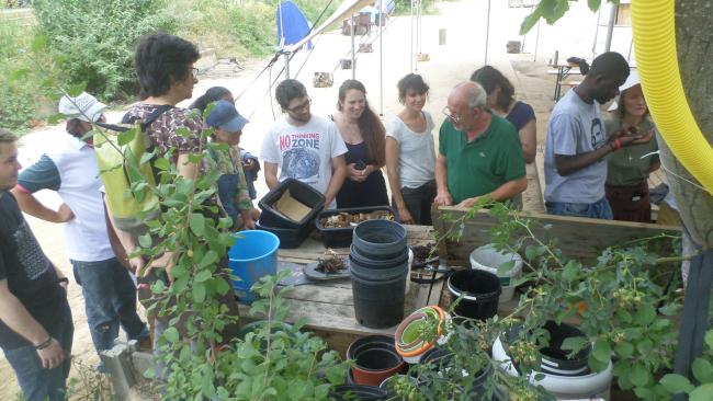 Exercices pratiques lors de la formation GUIDE COMPOSTEUR