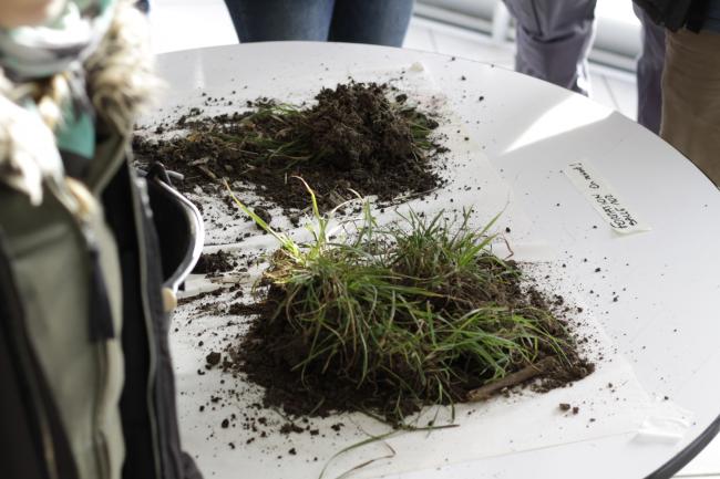 Différents types de sol