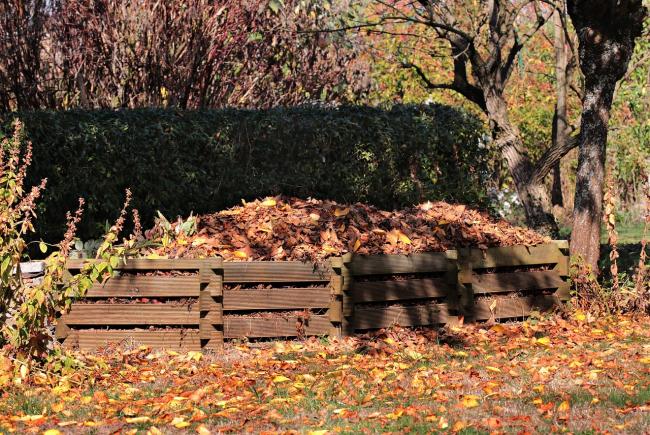 compost feuilles mortes