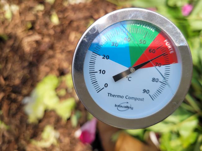 thermométre dans composteur