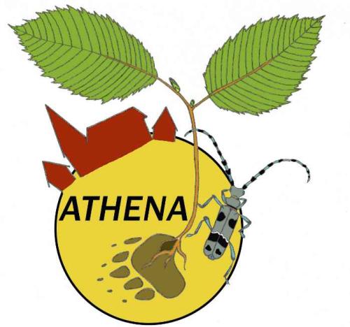 ATHENA